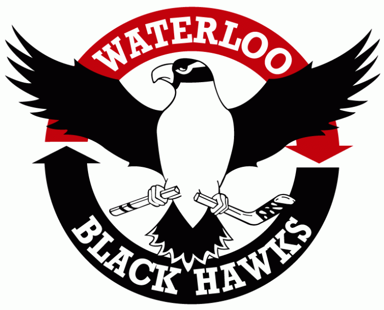 Waterloo Black Hawks 2007 08-2013 14 Primary Logo vinyl decal